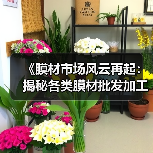《膜材市场风云再起:揭秘各类膜材批发加工的奥秘与趋势》(图2) 《膜材市场风云再起:揭秘各类膜材批发加工的奥秘与趋势》(图2)