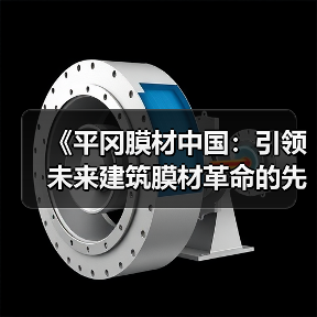 《平冈膜材中国：引领未来建筑膜材革命的先锋力量？》（图4）