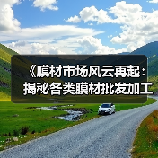 《膜材市场风云再起:揭秘各类膜材批发加工的奥秘与趋势》(图4) 《膜材市场风云再起:揭秘各类膜材批发加工的奥秘与趋势》(图4)