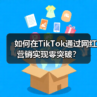 如何在TikTok通过网红营销实现零突破?(图3) 如何在TikTok通过网红营销实现零突破?(图3)