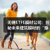 无锡ETFE膜材公司:揭秘未来建筑膜材的“隐形冠军”(图1) 无锡ETFE膜材公司:揭秘未来建筑膜材的“隐形冠军”(图1)