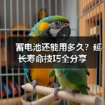 蓄电池还能用多久?延长寿命技巧全分享(图2) 蓄电池还能用多久?延长寿命技巧全分享(图2)