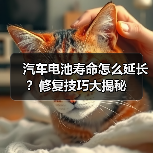 汽车电池寿命怎么延长?修复技巧大揭秘(图1) 汽车电池寿命怎么延长?修复技巧大揭秘(图1)