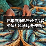 汽车电池电压最佳是多少伏？科学解析选购要点（图2）