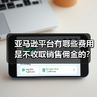 亚马逊平台有哪些费用是不收取销售佣金的？（亚马逊卖家需知）