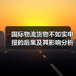 国际物流货物不如实申报的后果及其影响分析（图4）