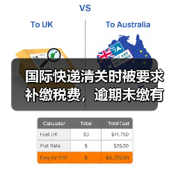 国际快递清关时被要求补缴税费，逾期未缴有什么后果（国际快递干货知识分享）（图2）