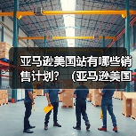 亚马逊美国站有哪些销售计划？（亚马逊美国站干货知识分享）