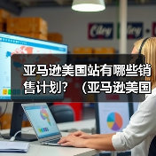亚马逊美国站有哪些销售计划？（亚马逊美国站干货知识分享）（图3）