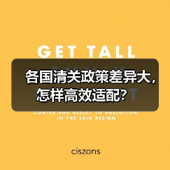 各国清关政策差异大，怎样高效适配？（图3）