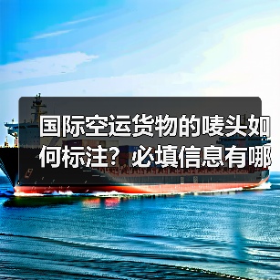 国际空运货物的唛头如何标注？必填信息有哪些？（国际空运干货知识分享）