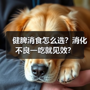 健脾消食怎么选？消化不良一吃就见效？（图2）
