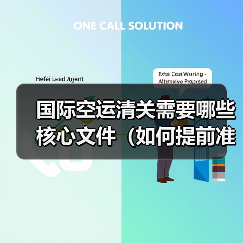 国际空运清关需要哪些核心文件(如何提前准备避免延误)(图1) 国际空运清关需要哪些核心文件(如何提前准备避免延误)(图1)