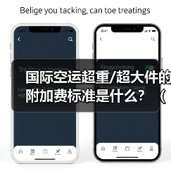 国际空运超重/超大件的附加费标准是什么?(如何合规规避)(图3) 国际空运超重/超大件的附加费标准是什么?(如何合规规避)(图3)