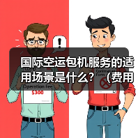 国际空运包机服务的适用场景是什么?(费用和订舱要求是什么)(图4) 国际空运包机服务的适用场景是什么?(费用和订舱要求是什么)(图4)
