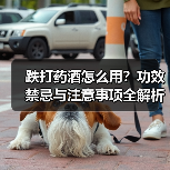 跌打药酒怎么用?功效禁忌与注意事项全解析(图1) 跌打药酒怎么用?功效禁忌与注意事项全解析(图1)