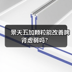 景天五加颗粒能改善脾肾虚弱吗?(图4) 景天五加颗粒能改善脾肾虚弱吗?(图4)