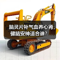 脑灵片补气血养心肾，健脑安神适合谁？（图3）