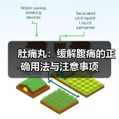 肚痛丸:缓解腹痛的正确用法与注意事项(图3) 肚痛丸:缓解腹痛的正确用法与注意事项(图3)