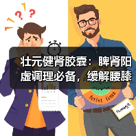 壮元健肾胶囊：脾肾阳虚调理必备，缓解腰膝酸软如何选择？