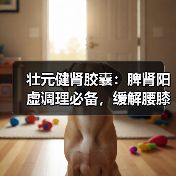 壮元健肾胶囊：脾肾阳虚调理必备，缓解腰膝酸软如何选择？（图2）