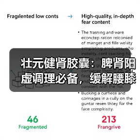 壮元健肾胶囊：脾肾阳虚调理必备，缓解腰膝酸软如何选择？（图4）