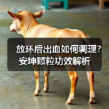 放环后出血如何调理?安坤颗粒功效解析(图4) 放环后出血如何调理?安坤颗粒功效解析(图4)