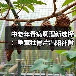中老年骨病调理新选择:龟茸壮骨片温阳补肾效果如何?(图1) 中老年骨病调理新选择:龟茸壮骨片温阳补肾效果如何?(图1)
