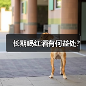 长期喝红酒有何益处?(图1) 长期喝红酒有何益处?(图1)