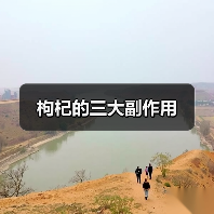 枸杞的三大副作用(图2) 枸杞的三大副作用(图2)