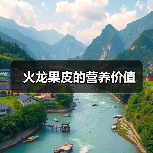 火龙果皮的营养价值(图4) 火龙果皮的营养价值(图4)