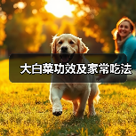 大白菜功效及家常吃法(图1) 大白菜功效及家常吃法(图1)