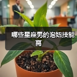 哪些星座男的泡妞技能高(图2) 哪些星座男的泡妞技能高(图2)