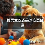 板栗生吃还是熟吃更健康(图4) 板栗生吃还是熟吃更健康(图4)