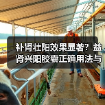 补肾壮阳效果显著?益肾兴阳胶囊正确用法与注意事项全解析(图3) 补肾壮阳效果显著?益肾兴阳胶囊正确用法与注意事项全解析(图3)