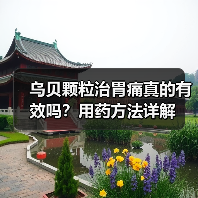 乌贝颗粒治胃痛真的有效吗?用药方法详解(图2) 乌贝颗粒治胃痛真的有效吗?用药方法详解(图2)