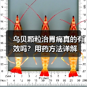 乌贝颗粒治胃痛真的有效吗?用药方法详解(图1) 乌贝颗粒治胃痛真的有效吗?用药方法详解(图1)