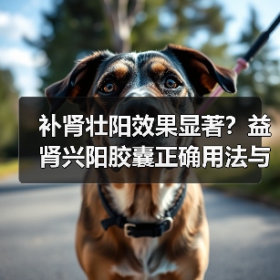 补肾壮阳效果显著?益肾兴阳胶囊正确用法与注意事项全解析(图4) 补肾壮阳效果显著?益肾兴阳胶囊正确用法与注意事项全解析(图4)