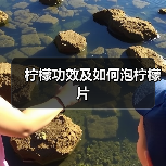 柠檬功效及如何泡柠檬片(图1) 柠檬功效及如何泡柠檬片(图1)