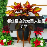 哪些星座的双重人格最明显(图2) 哪些星座的双重人格最明显(图2)