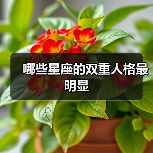 哪些星座的双重人格最明显(图4) 哪些星座的双重人格最明显(图4)