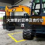火龙果的营养及食疗功效(图3) 火龙果的营养及食疗功效(图3)