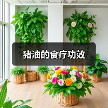 猪油的食疗功效(图1) 猪油的食疗功效(图1)