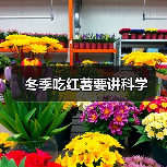 冬季吃红薯要讲科学(图3) 冬季吃红薯要讲科学(图3)