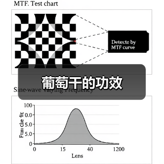 葡萄干的功效(图3) 葡萄干的功效(图3)