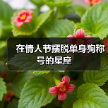 在情人节摆脱单身狗称号的星座(图2) 在情人节摆脱单身狗称号的星座(图2)