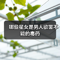 哪些星女是男人欲罢不能的毒药(图2) 哪些星女是男人欲罢不能的毒药(图2)
