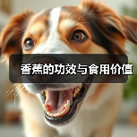 香蕉的功效与食用价值（图3）