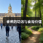 香蕉的功效与食用价值（图4）