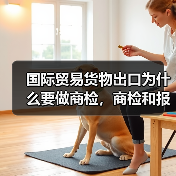 国际贸易货物出口为什么要做商检,商检和报检有什么不同?(图4) 国际贸易货物出口为什么要做商检,商检和报检有什么不同?(图4)